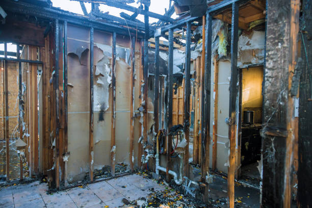 Professional Fire Damage Removal technician working in Fort Myers Beach, FL